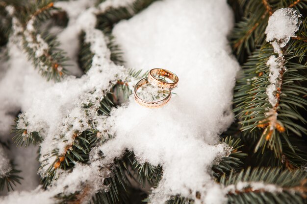 anillos de boda de cerca en la nieve