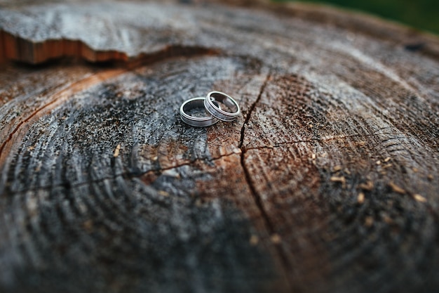 Los anillos de boda se encuentran en un bloque de madera