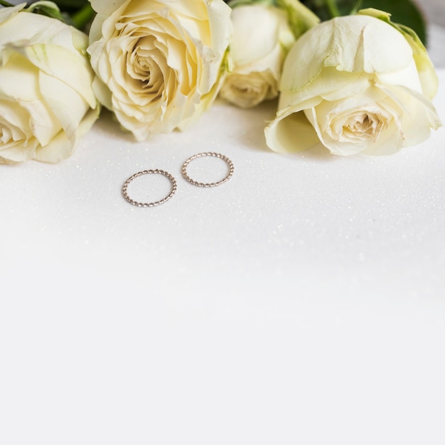 Anillos de boda y rosas frescas sobre fondo blanco