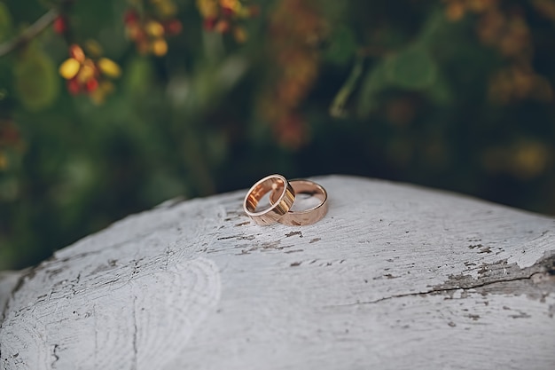 Anillos de boda