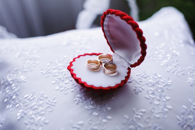 Anillos en una caja con forma de concha