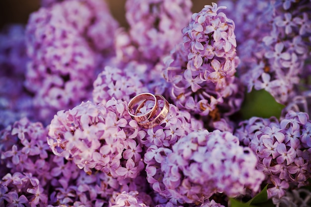 Anillos sobre flores