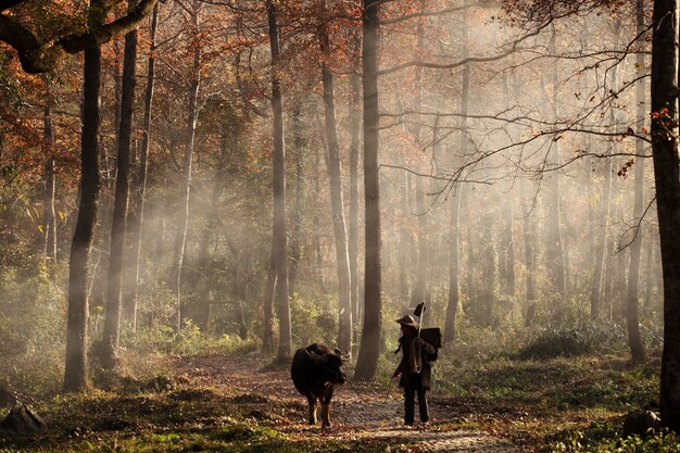 Animal y hombre caminando en el bosque.