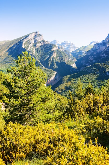 Foto gratuita anisclo canyon en verano