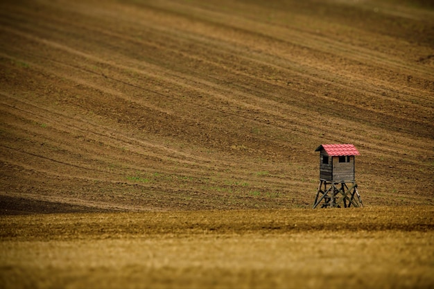 Antigua atalaya de madera pequeña en un campo agrícola en Moravia, República Checa