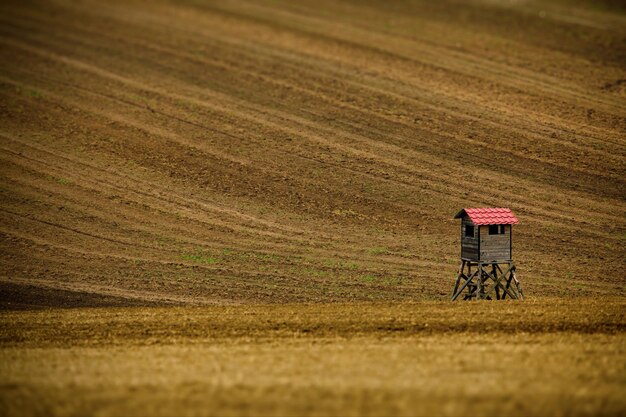 Antigua atalaya de madera pequeña en un campo agrícola en Moravia, República Checa