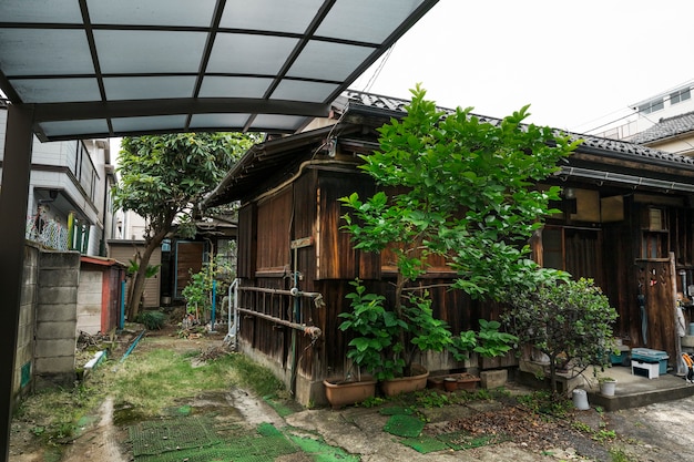 Antigua casa abandonada con madera podrida