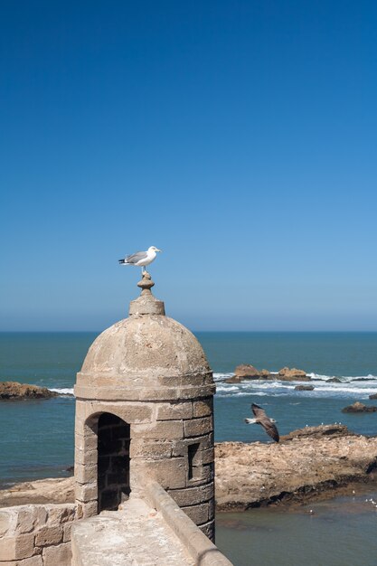 antigua fortaleza en Essaouira, Marruecos