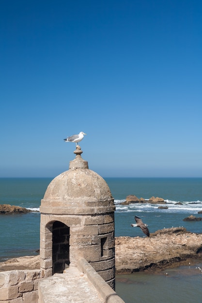 antigua fortaleza en Essaouira, Marruecos