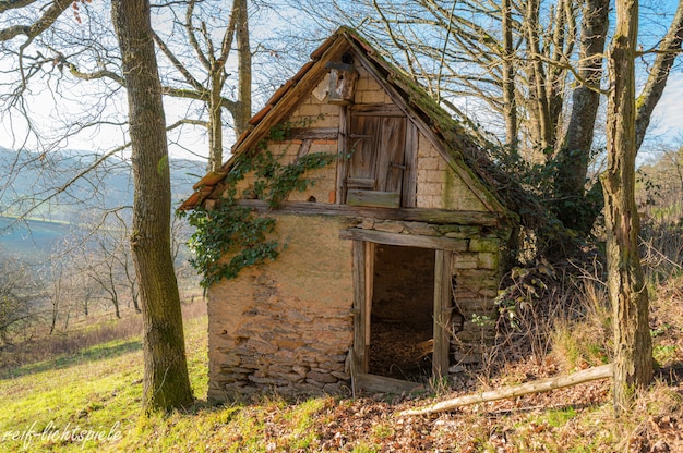 Antigua pequeña casa abandonada en la colina rodeada de árboles