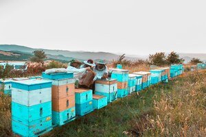Foto gratuita apicultores recogiendo la cosecha de las colmenas de abejas