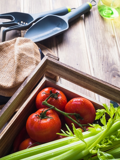 Apio y tomates rojos frescos en caja con equipos de jardinería