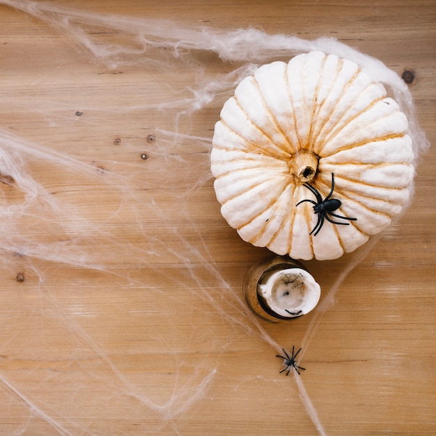 Araña en la calabaza