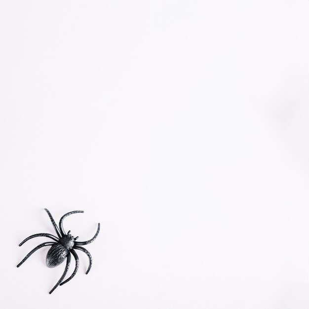 Araña de juguete acostado en el fondo blanco