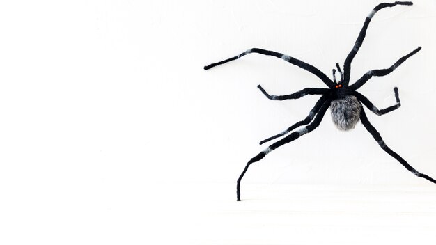 Foto gratuita araña de juguete espeluznante para halloween