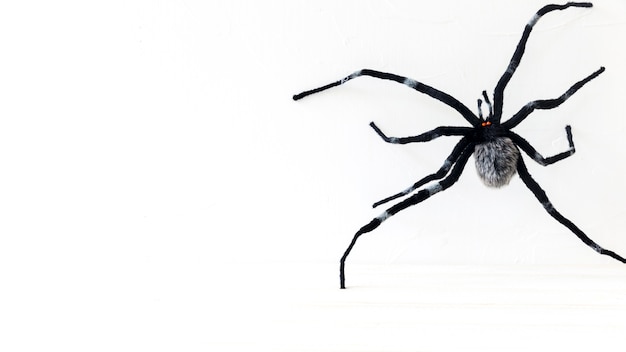 Araña de juguete espeluznante para Halloween