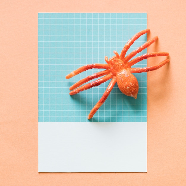 Araña miniatura de colores en un papel