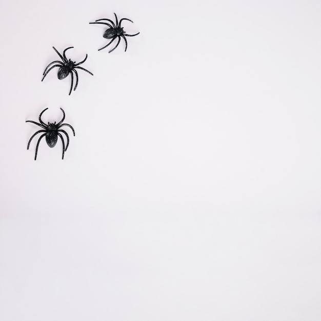 Arañas negras sobre fondo blanco