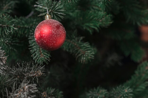 árbol de abeto con bola de navidad