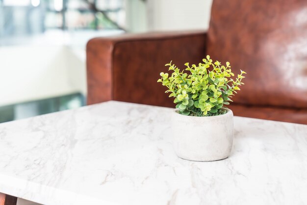 árbol en la decoración de la olla en la mesa en el salón