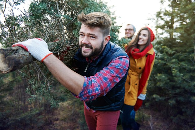 Este árbol de Navidad es grande y tan pesado