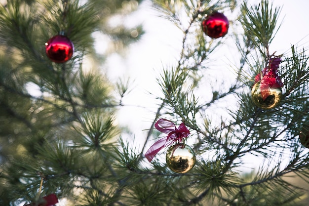 árbol de navidad en la naturaleza con bolas de navidad