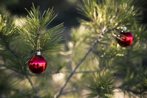 árbol de navidad en la naturaleza con bolas rojas