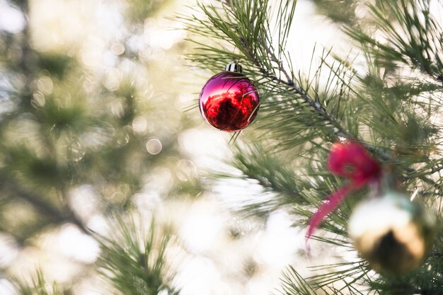 árbol de navidad en la naturaleza con decoración de bola