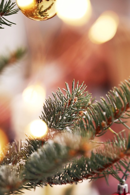 Foto gratuita Árbol de navidad