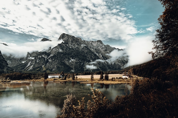 Foto gratuita Árboles al lado del lago. paisaje natural