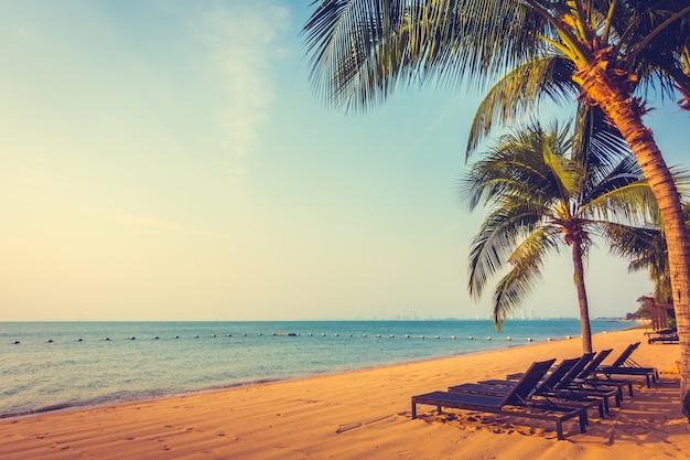 Foto gratuita Árboles de verano blanco de la naturaleza retro