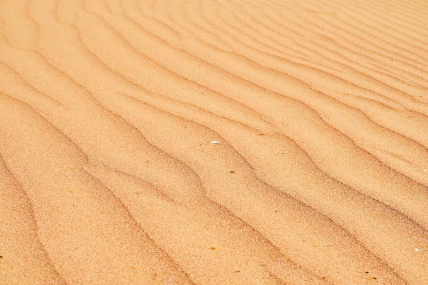 Arena de fondo de textura de piedra arenisca natural en la playa como fondo Fondo de arena ondulado para diseños de verano o telones de fondo