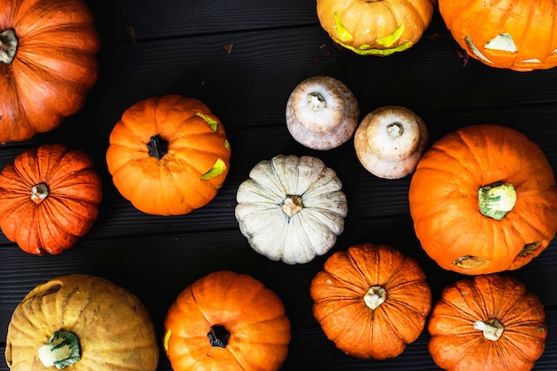 Arial vista de calabazas de halloween