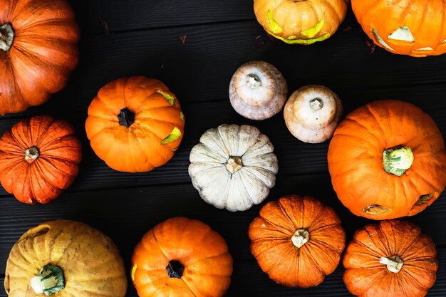 Arial vista de calabazas de halloween