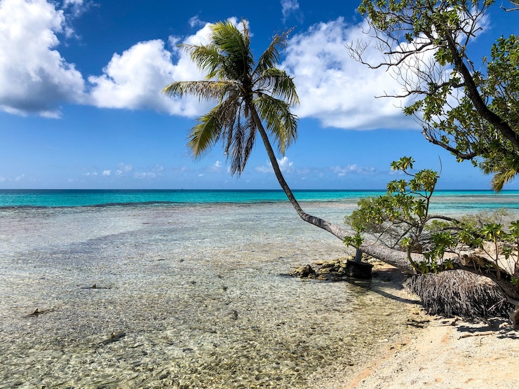 Foto gratuito arrecife en la isla de rangiroa