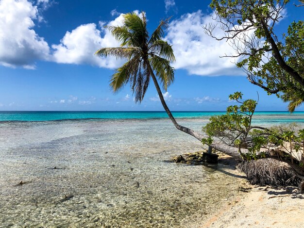 Arrecife en la isla de Rangiroa