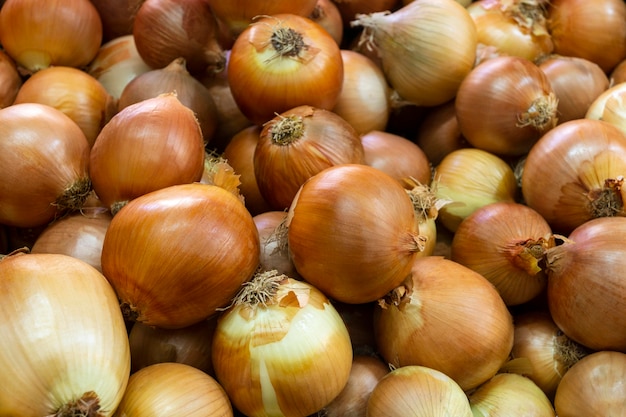 Foto gratuita arreglo de ángulo alto con cebollas.