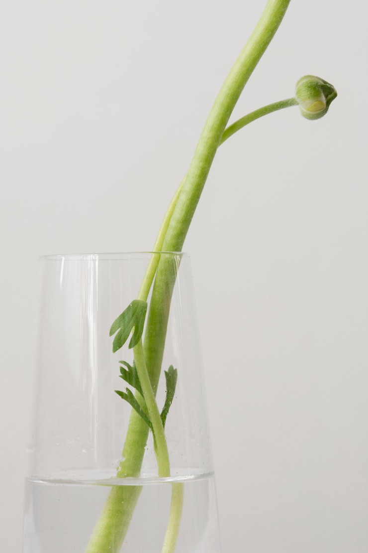 Foto gratuito arreglo de bodegón de interior flor en jarrón