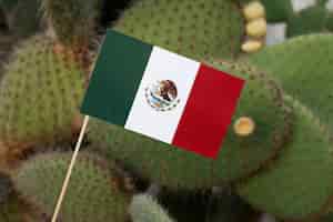 Foto gratuita arreglo de cactus y bandera mexicana