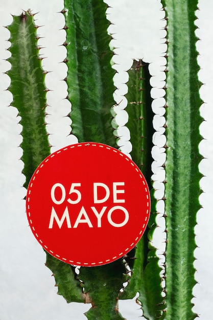 Arreglo de cactus para fiesta mexicana