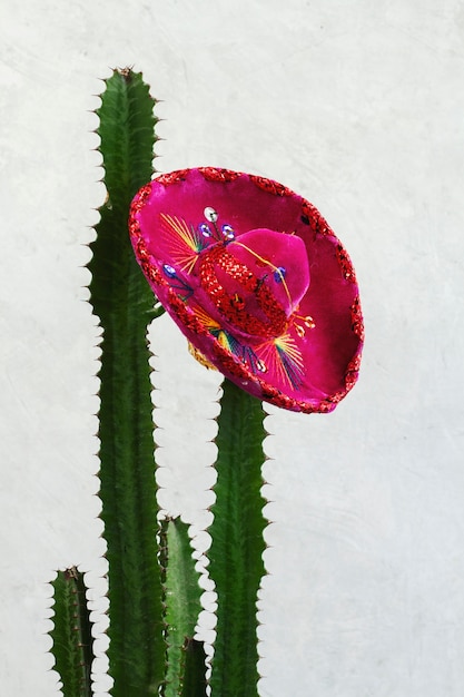 Arreglo de cactus y sombrero rosa para fiesta