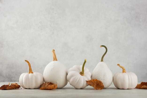 Arreglo de calabazas blancas y hojas marrones