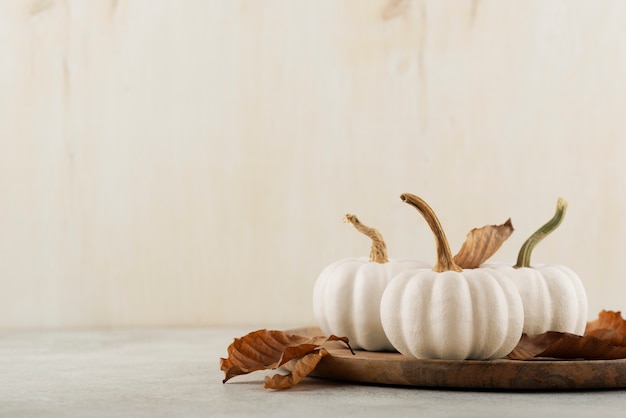 Arreglo de calabazas blancas y hojas