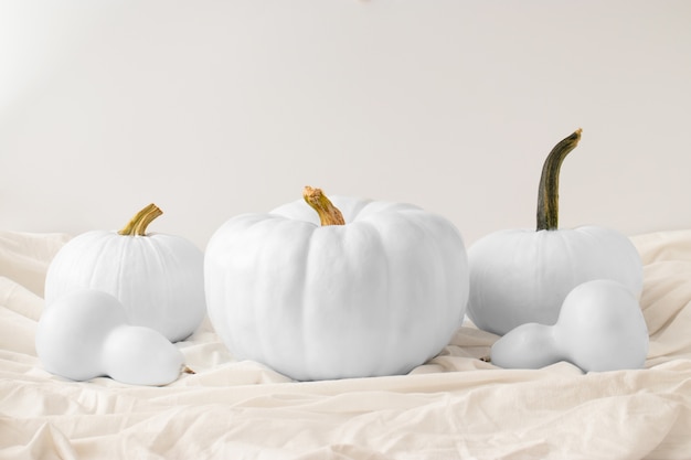 Foto gratuita arreglo de calabazas blancas en tela