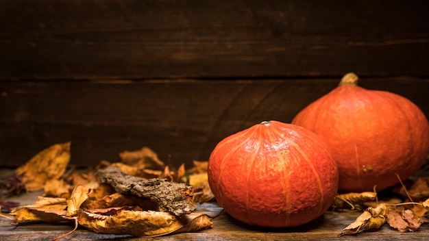 Arreglo con calabazas y hojas sobre fondo de madera