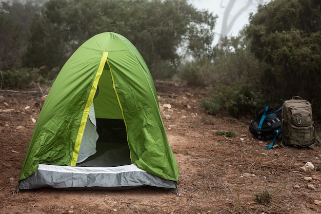 Arreglo con carpa verde en la naturaleza