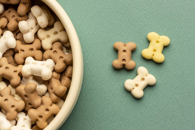 Arreglo de comida para mascotas domésticas