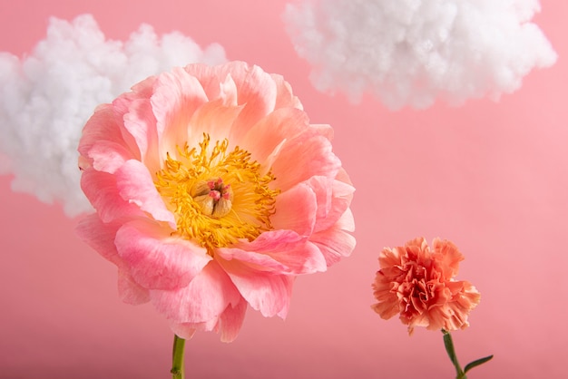 Arreglo de concepto de flores en el cielo