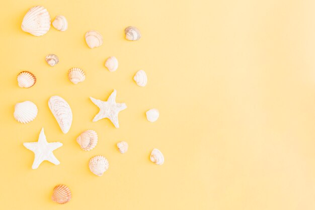 Arreglo de conchas y estrellas de mar sobre fondo amarillo