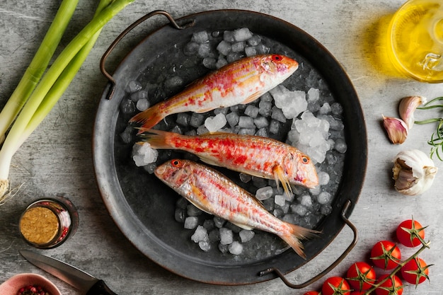 Foto gratuita arreglo creativo de pescado crudo.